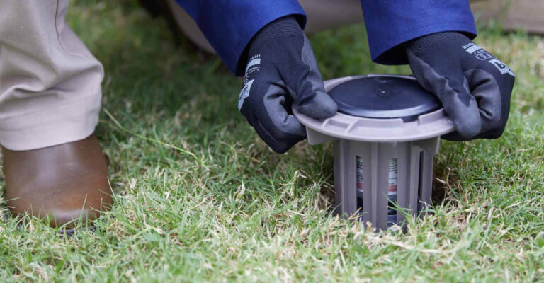 Getting ready for a termite inspection